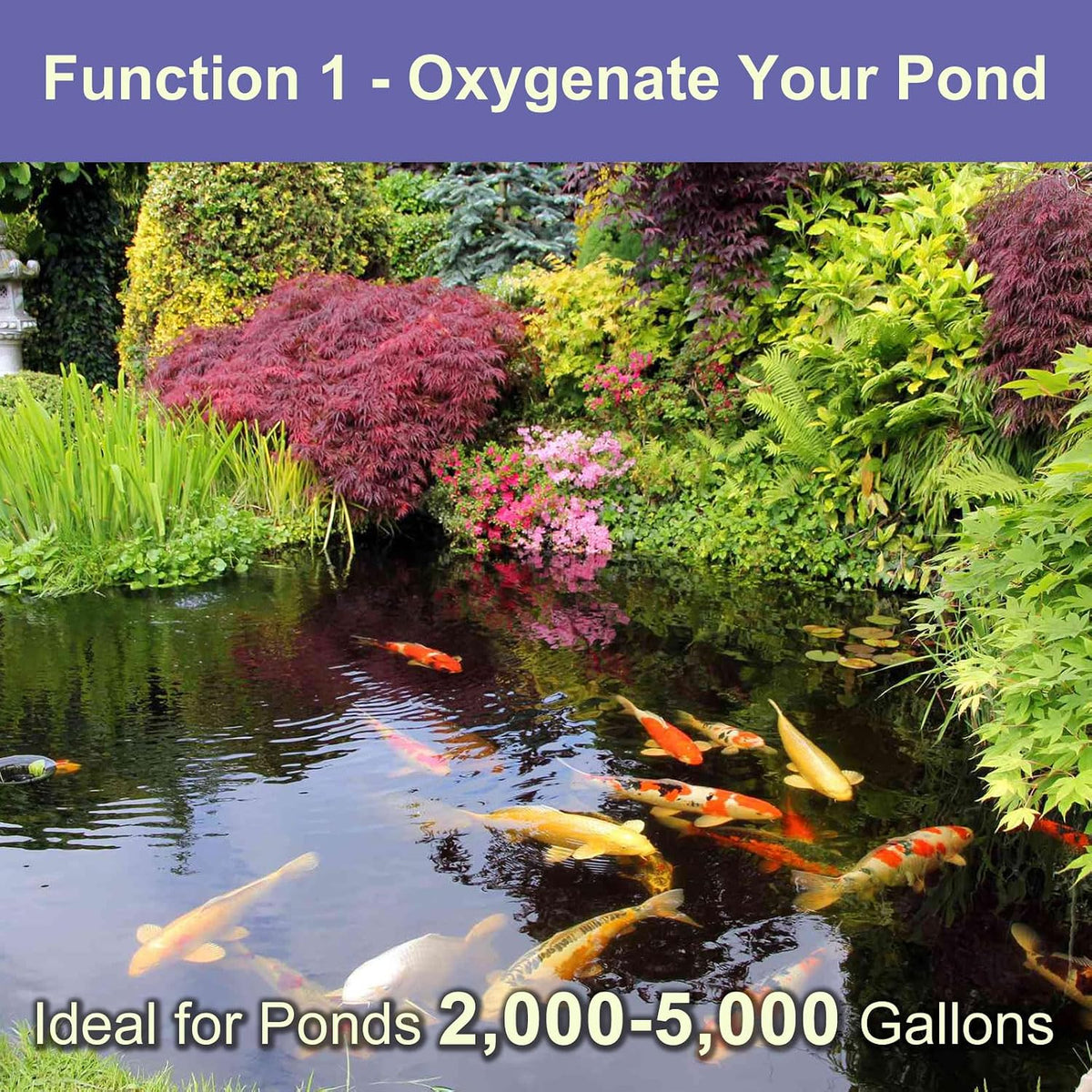 Koi Pond Aerator Pond Air Pump with Self-Sinking Airline Rubber Air Diffuser, Air Flow Control Pond Deicer All-in-One