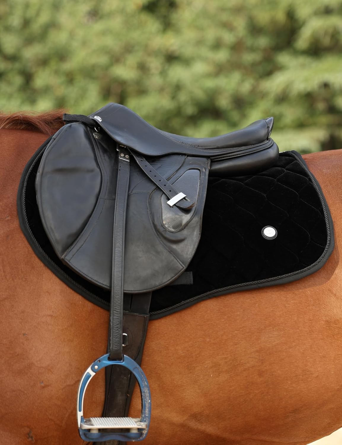 Close Contact Horse Saddle Pad for Jumping, w/Velvet Hue