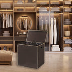 Double Laundry Hamper with Lid & Removable Bags, Brown