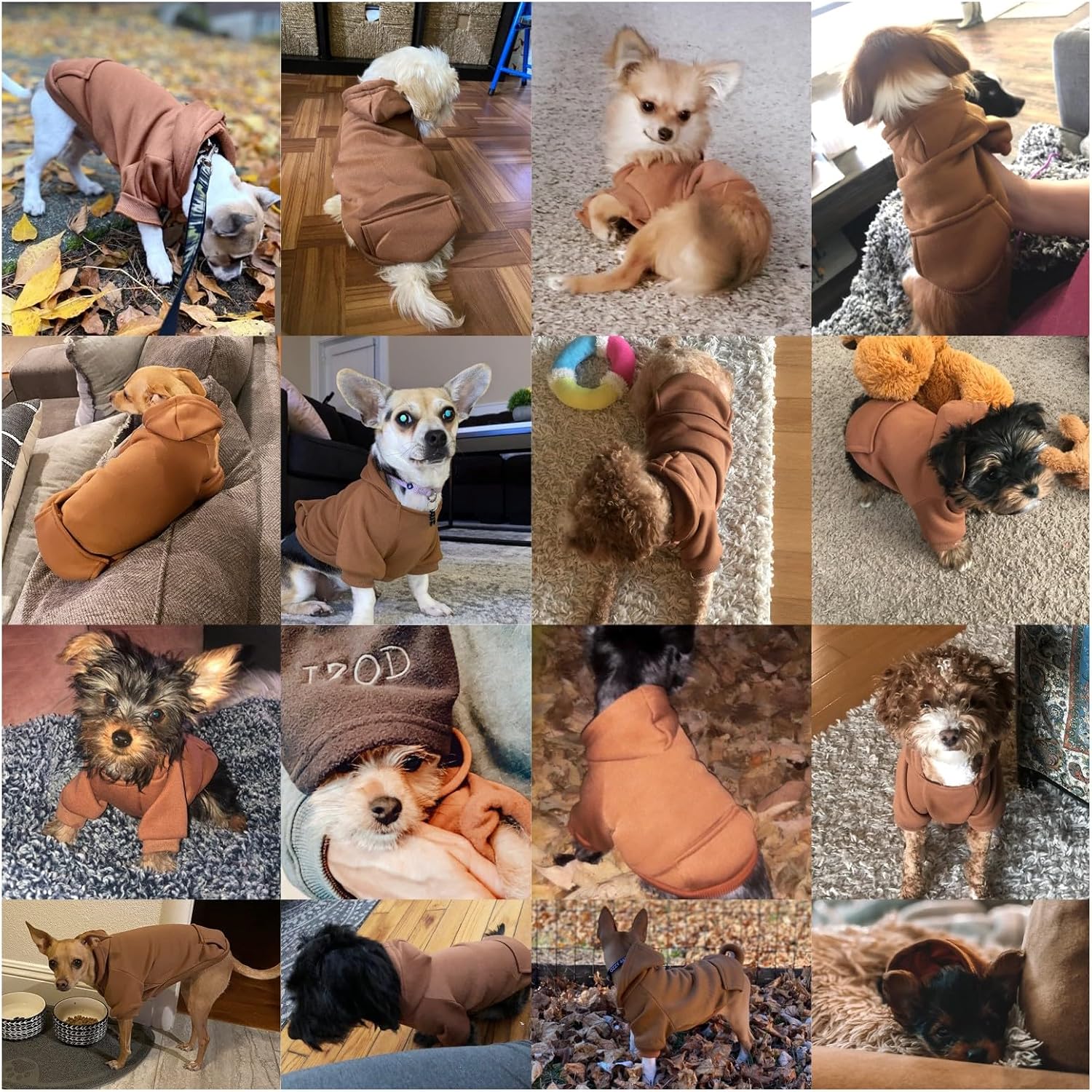 Soft Dog Hoodies for Small Dogs, Fleece Puppy Sweatshirt with Pockets, Warm Winter Cold Weather Coats for Pet Cat