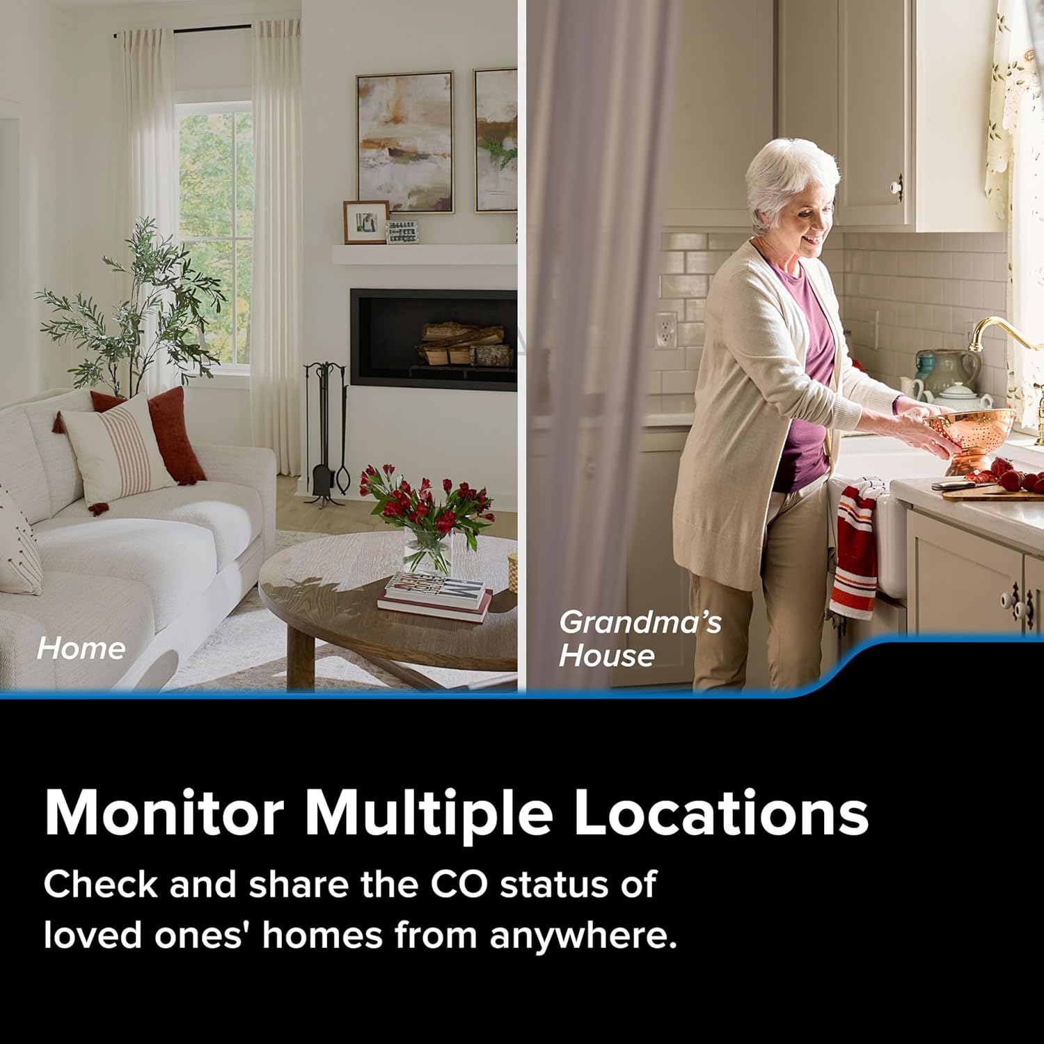 Smart Carbon Monoxide Detector, Plug-in with AA Battery Backup, Real-Time Notifications, 2.4 GHz Wi-Fi Enabled