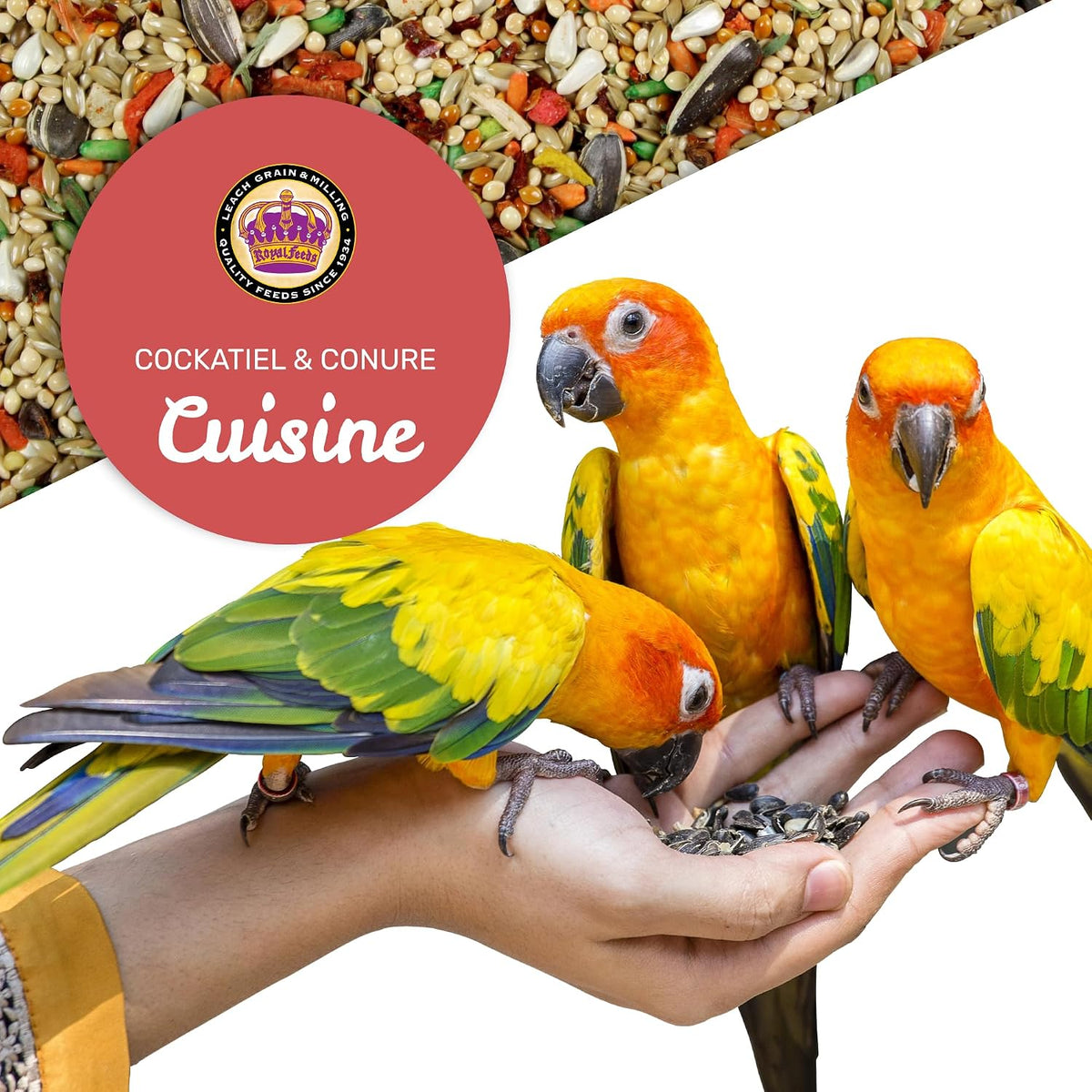 Cockatiel & Conure Food Cuisine 4 Lbs, Nutrient-Rich Mixed Bird Seeds with Grains, Fruits & Vegetables – Supports