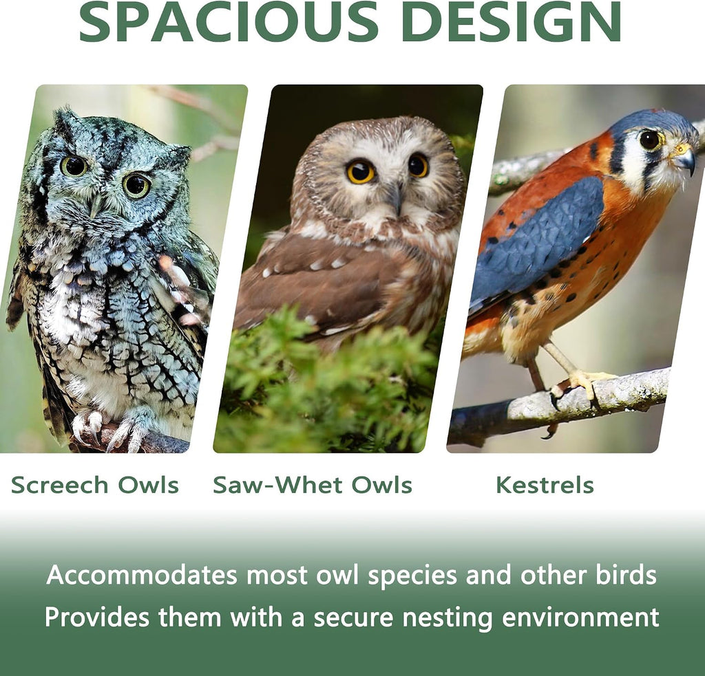 Screech Owl House 13" x 9" x 9", Cedar Wood Owl Box with Bird Stand Design, Owl Nesting Box with Mounting Screws and