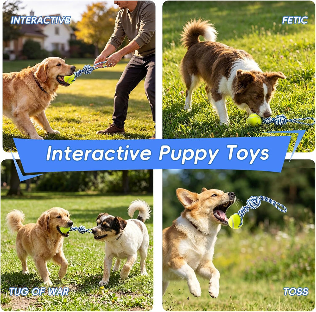 Interactive Tug of War Rope Toy for Medium & Small Dogs - Outdoor Tether Tug Toy with 1 Knot & Tennis Ball, Puppy
