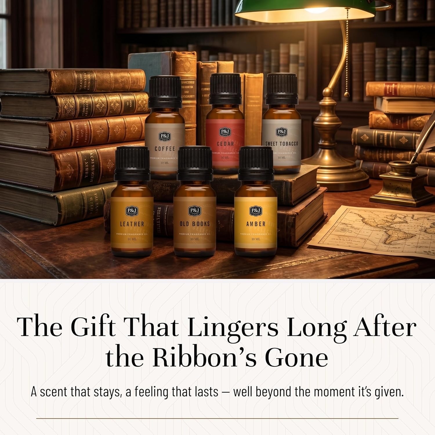Fragrance Oil The Study Set | Leather, Coffee, Old Books, Cedar, Amber, Sweet Tobacco Candle Scents for Candle