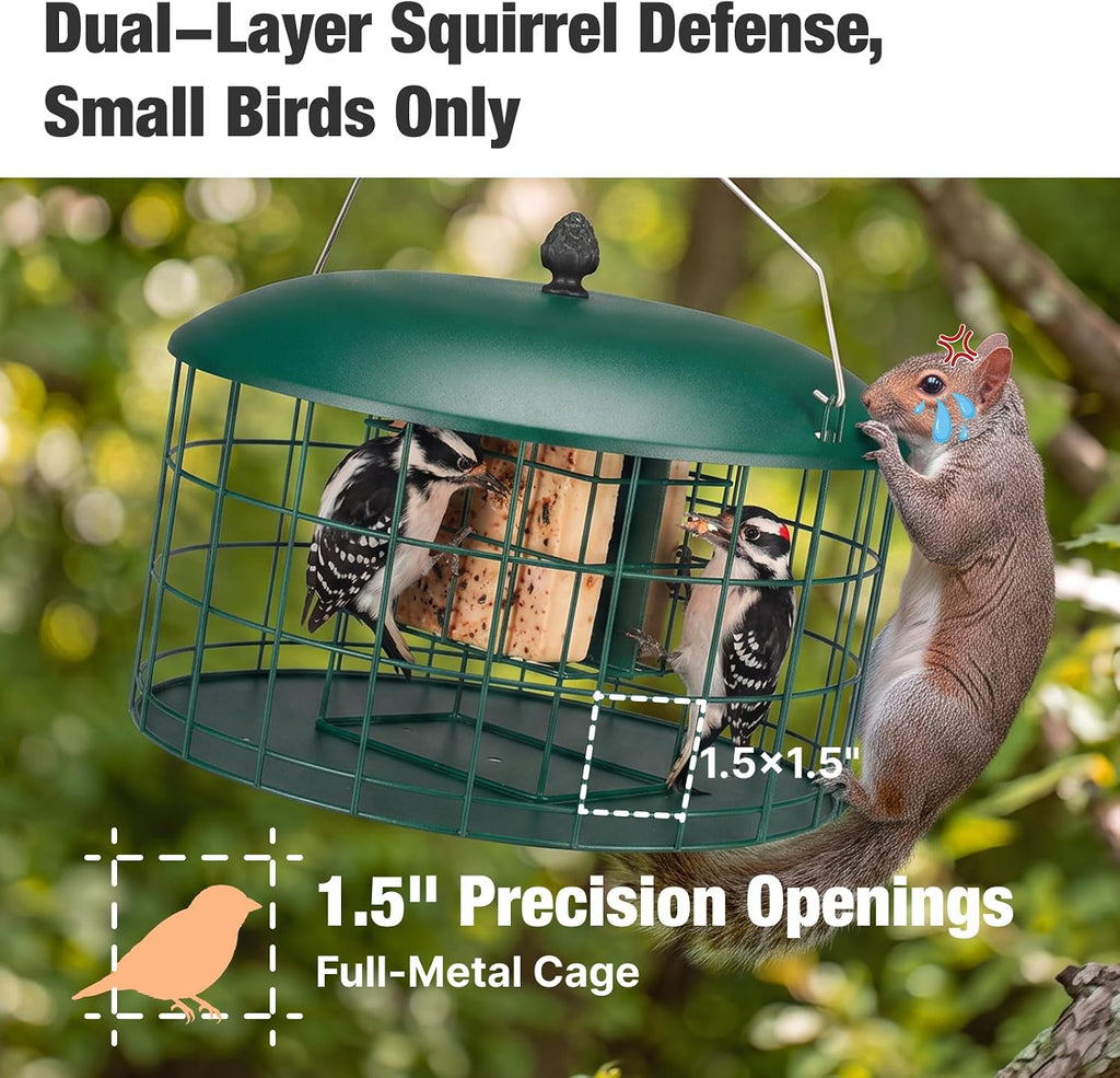 Squirrel Proof Suet Feeder for Woodpeckers, All Metal Caged Feeders