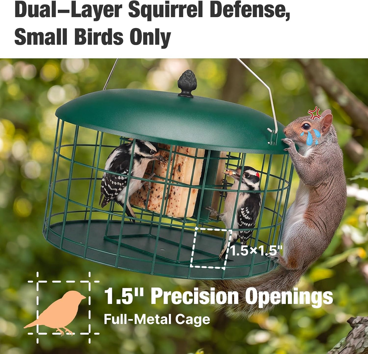 Squirrel Proof Suet Feeder for Woodpeckers, All Metal Caged Feeders