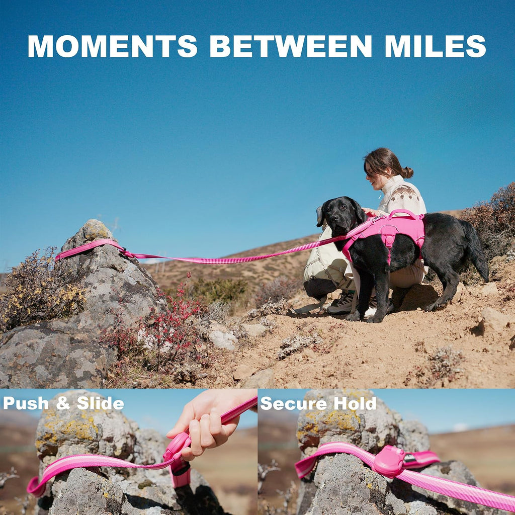 Trail Dash Dog Leash, Magnetic Buckle, Indigo Sea, 7-9FT