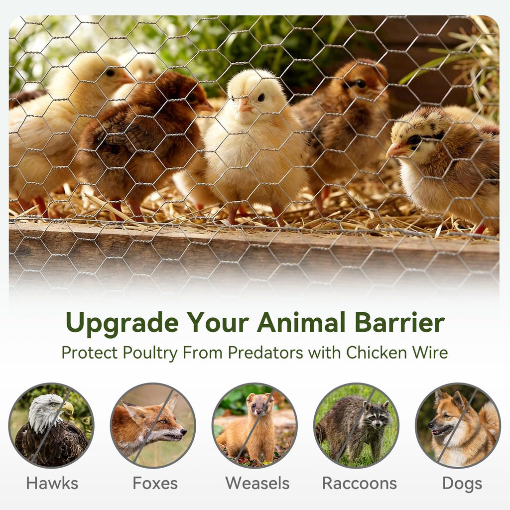 Amagabeli Chicken Wire Fencing 16in x 50ft Garden Netting Poultry Wire Hexagonal Galvanized Mesh Roll Fence Barrier