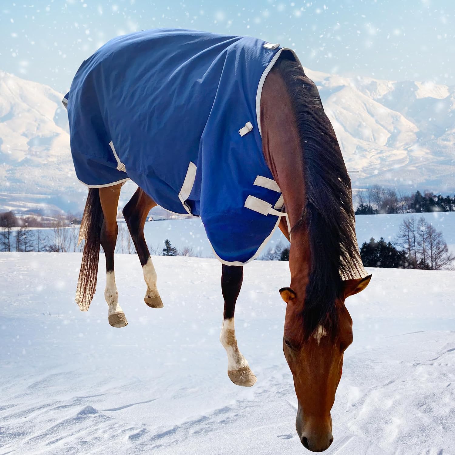 1200D Winter Waterproof Horse Trunout Blanket, 280g Warm Cotton Filling Liner with Turnout Neck Cover Detachable