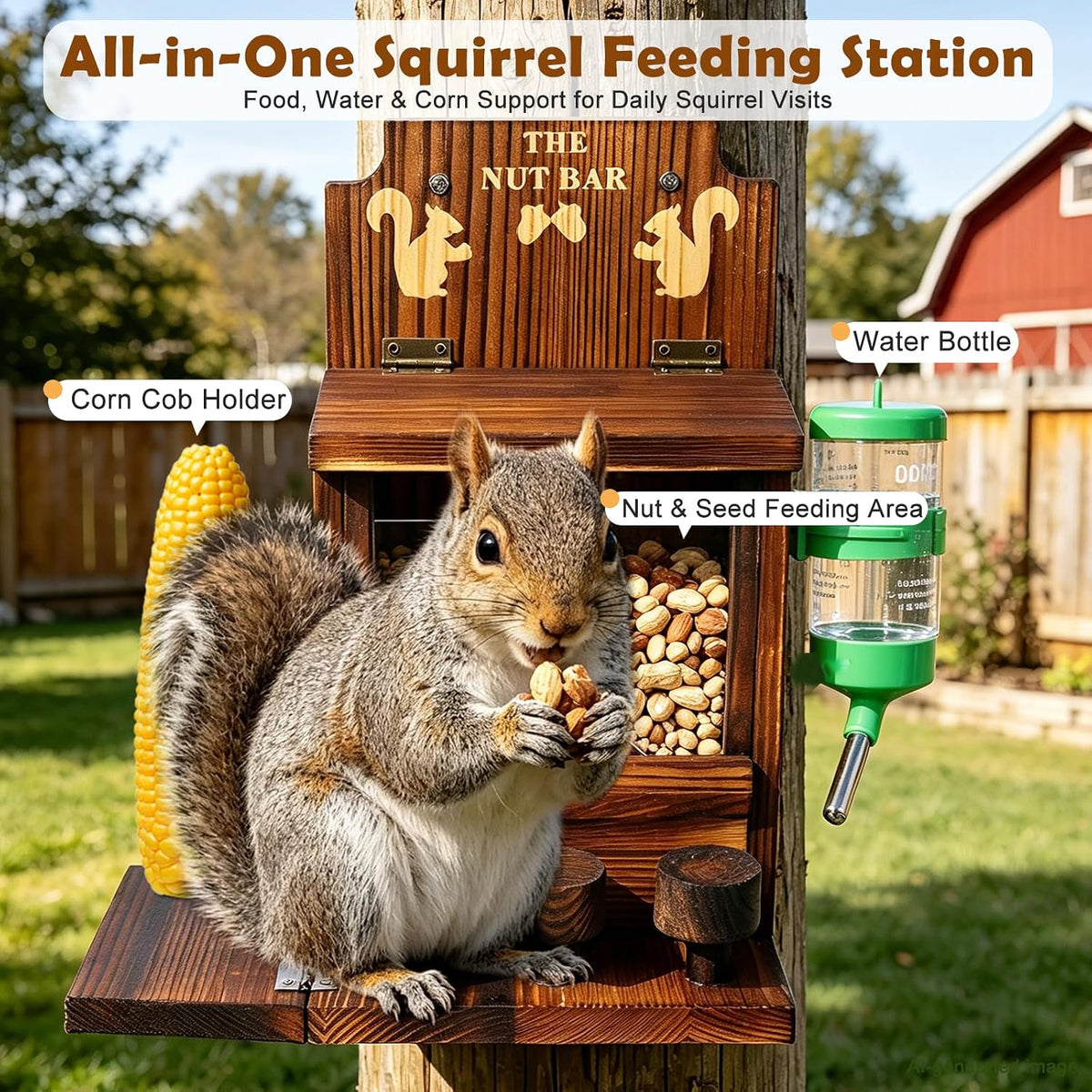 Durable Squirrel Feeder for Outside: Carbonized Pine & Protective Coating
