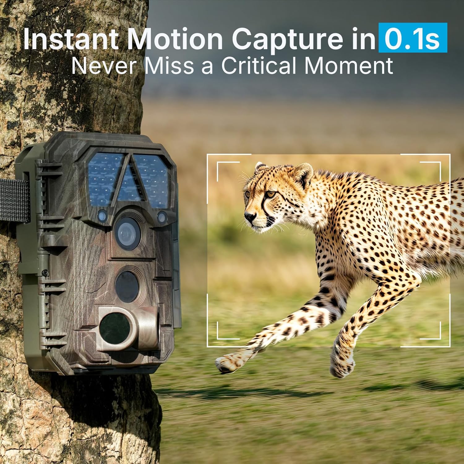 P70 (Non-Cellular,Non-WiFi) Trail Camera, 64MP 1296p, Game Cameras with No-Glow IR Night Vision, Motion Activated