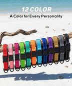 TagME Small Dog Collar, Reflective Puppy Collar, Green, 5/8" Width