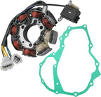 Caltric Stator and Gasket Compatible With Honda Trx250Te Trx 250Te Recon 250 Es 2X4 2005-2017