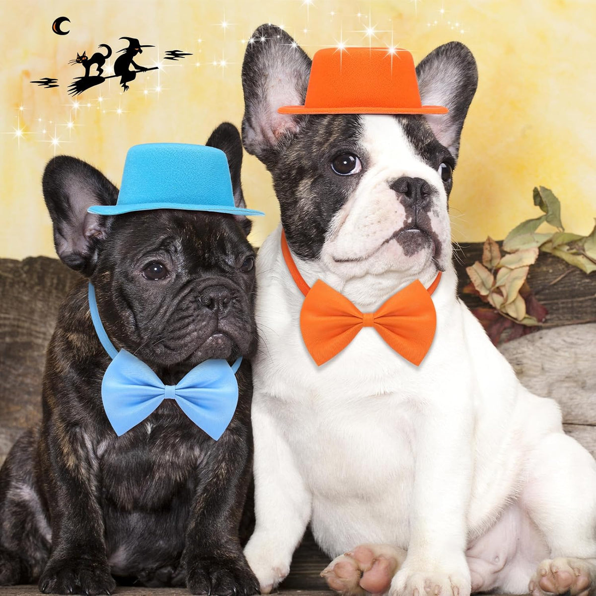 4 Pcs Halloween Dog Costume Blue and Orange Top Hat Accessories