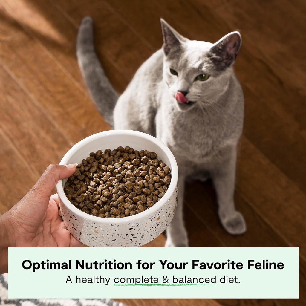 Grain Free Dry Cat Food, Turkey & Chicken Kibble, 4lb Bag