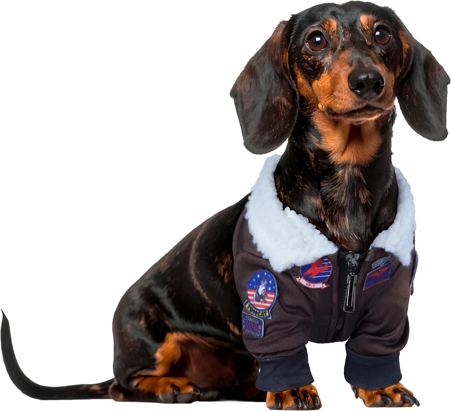 Top Gun: Maverick Pet Costume for For Dogs or Cats by Rubies, Large