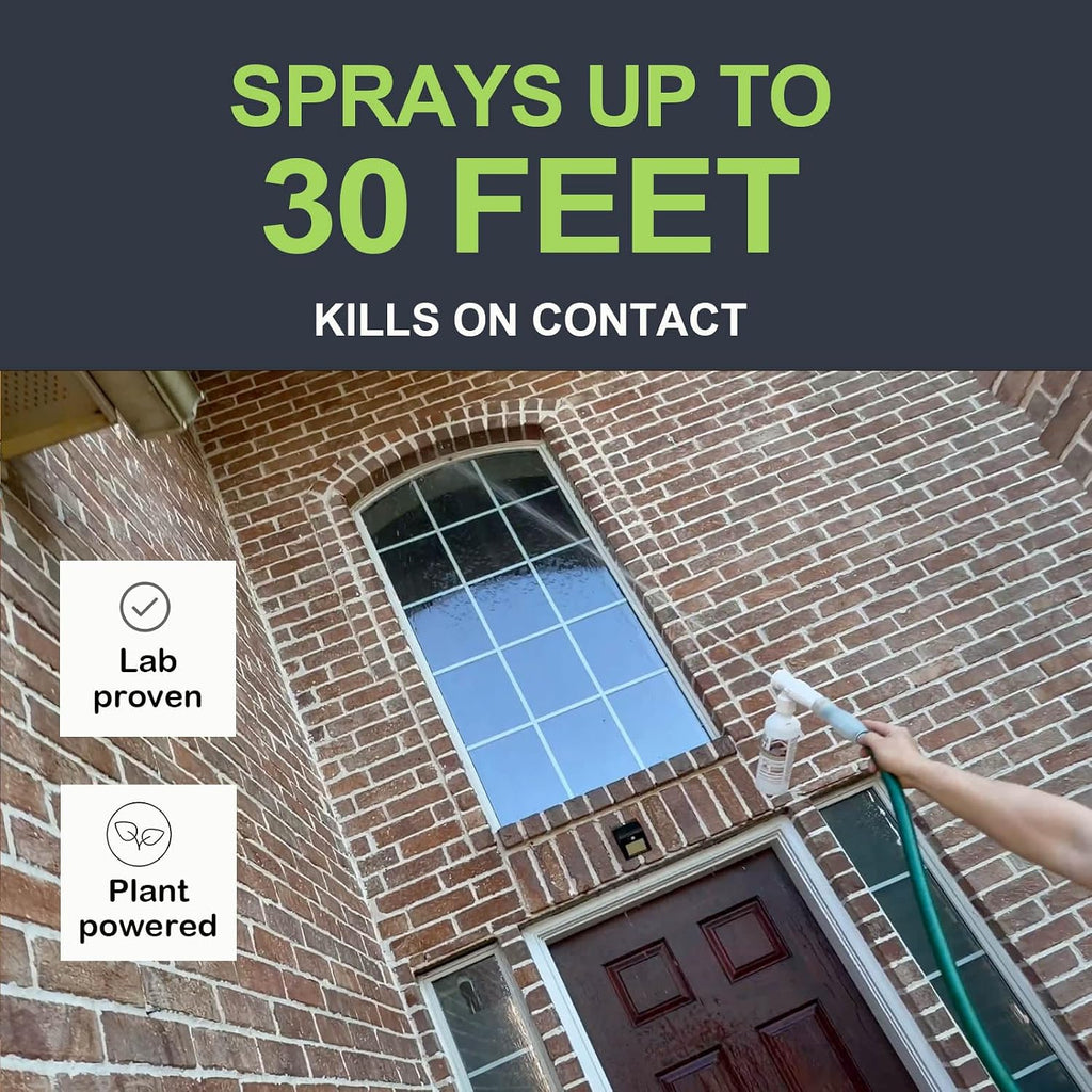Natural Wasp & Hornet Killer, Ground Wasp Nest Spray, Wasp Concentrate