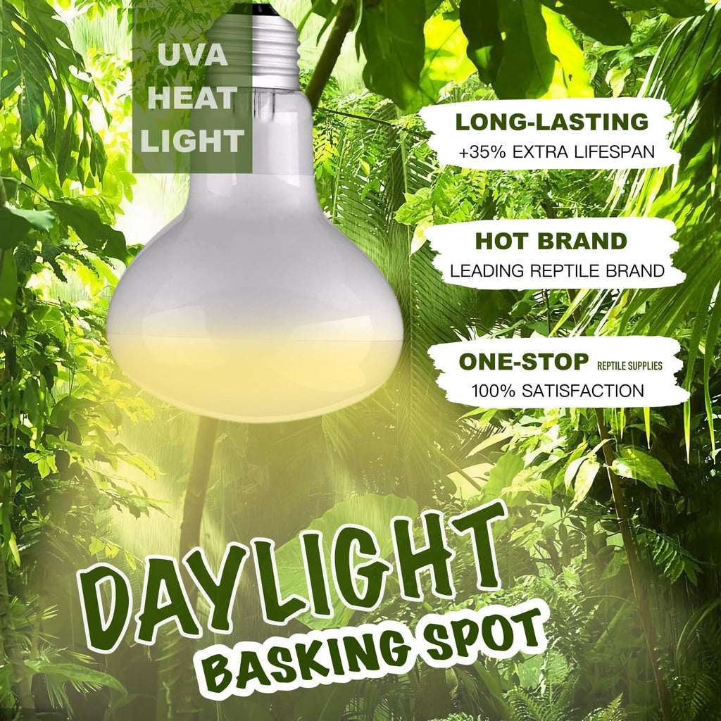 Reptile Heat Bulb Lamp, 2-Pack 100W Daylight Basking Spot, Bearded Dragon/Turtle/Lzard/Gecko Light Bulb, UVA Heat