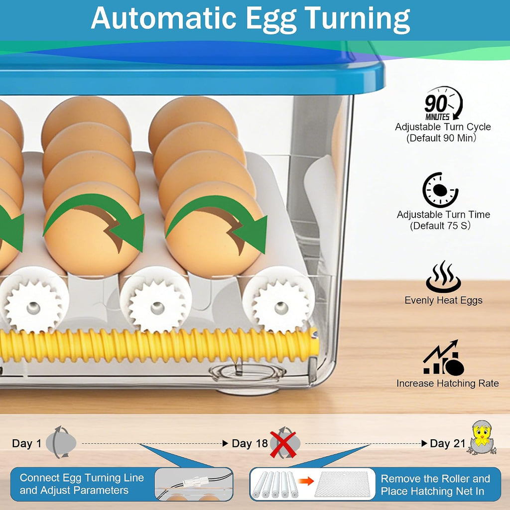 16 Eggs Incubators for Hatching Eggs, Egg Incubator with Automatic Egg Turning, Chicken Egg Incubator with Humidity