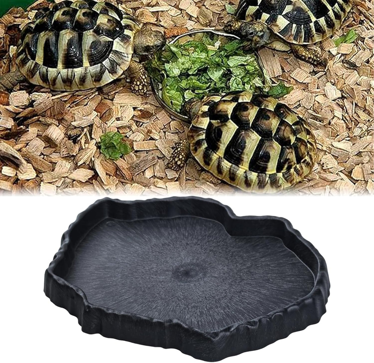 Reptile Water Dish, Reptile Feeding Dish Corner (Large)