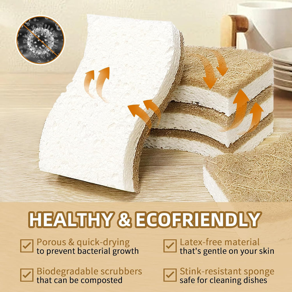 12 Pack Natural Kitchen Sponges, Cellulose Coconut & Non-Scratch