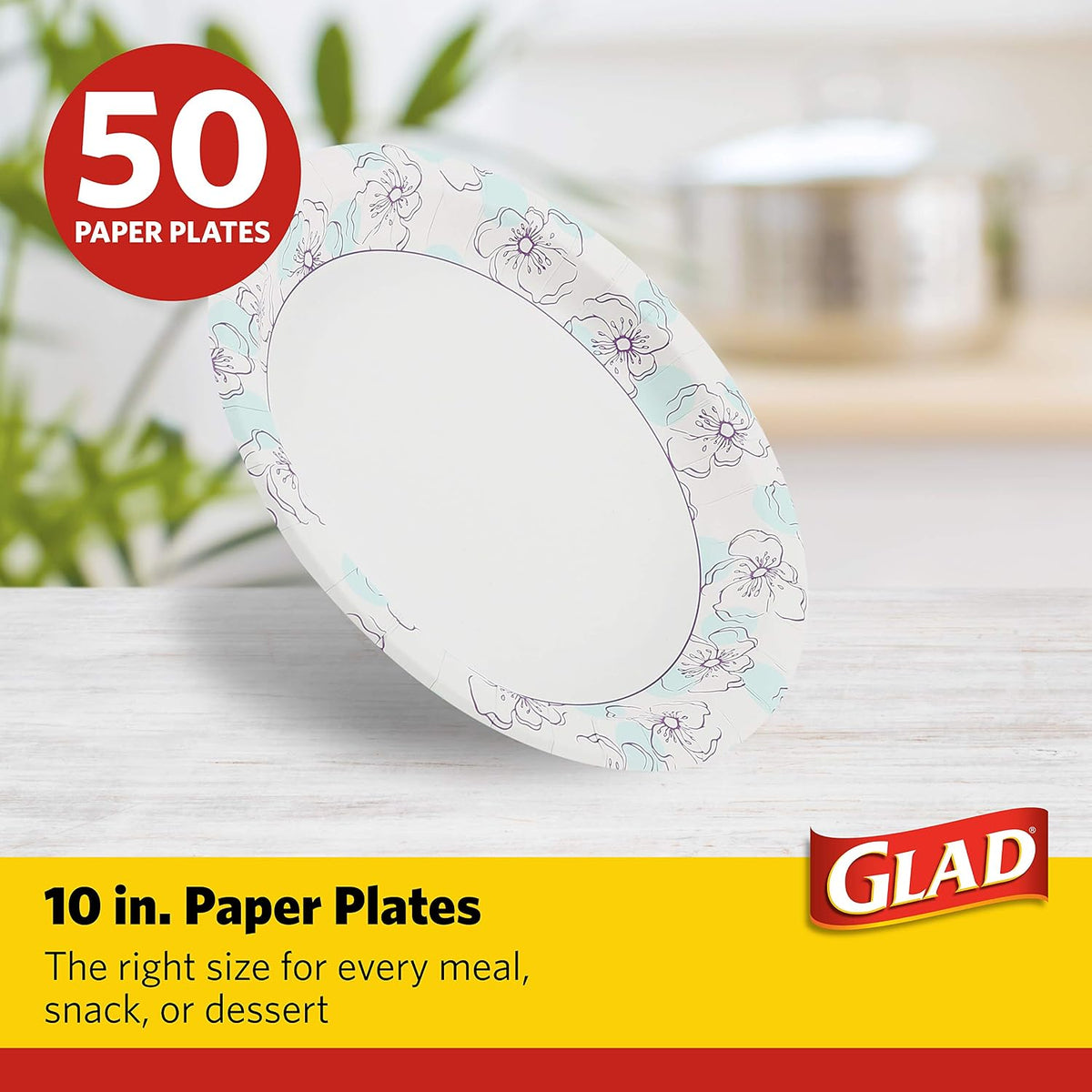 Round Paper Plates, Blue Flower Design, 10 Inch, 50 Count