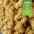 Spray Millet for Birds 5LB - All Natural Sun-Dried Healthy Treat, Millet Spray for Parakeets, Parrots, Lovebirds