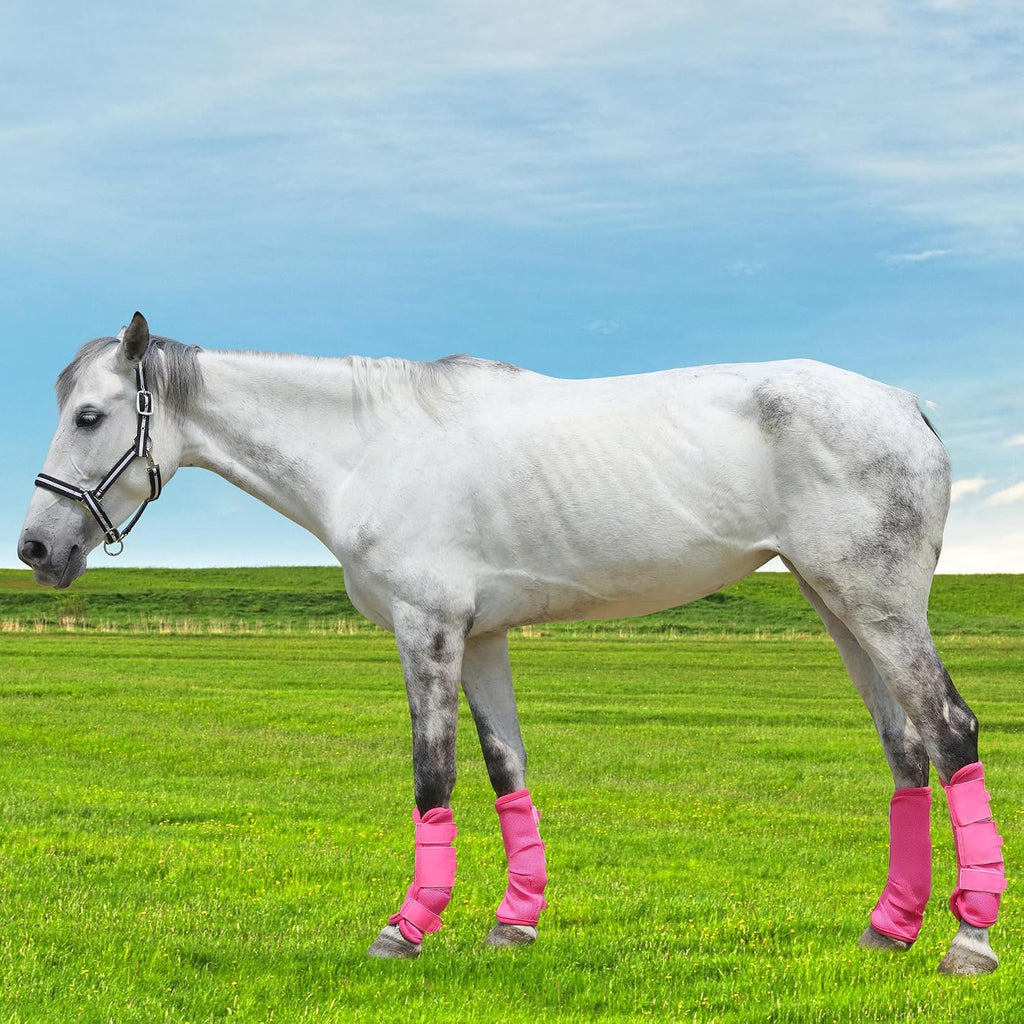 Horse Fly Boots, Mesh Fly Boots for Horse Set of 4, Equine Leg Protection
