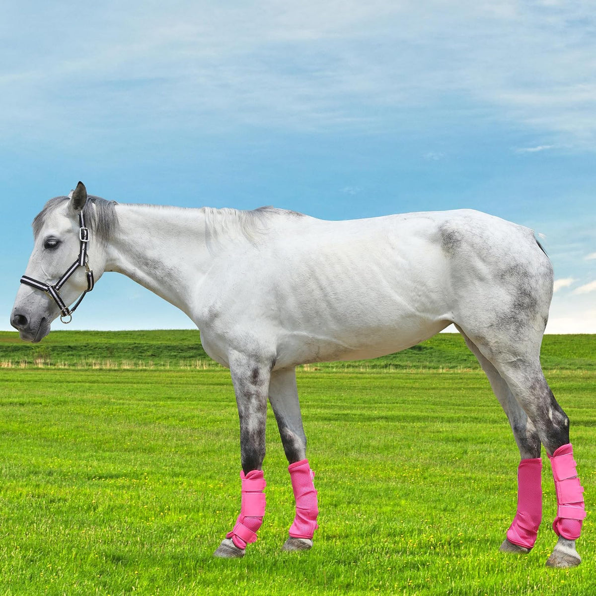 Horse Fly Boots, Mesh Fly Boots for Horse Set of 4, Equine Leg Protection