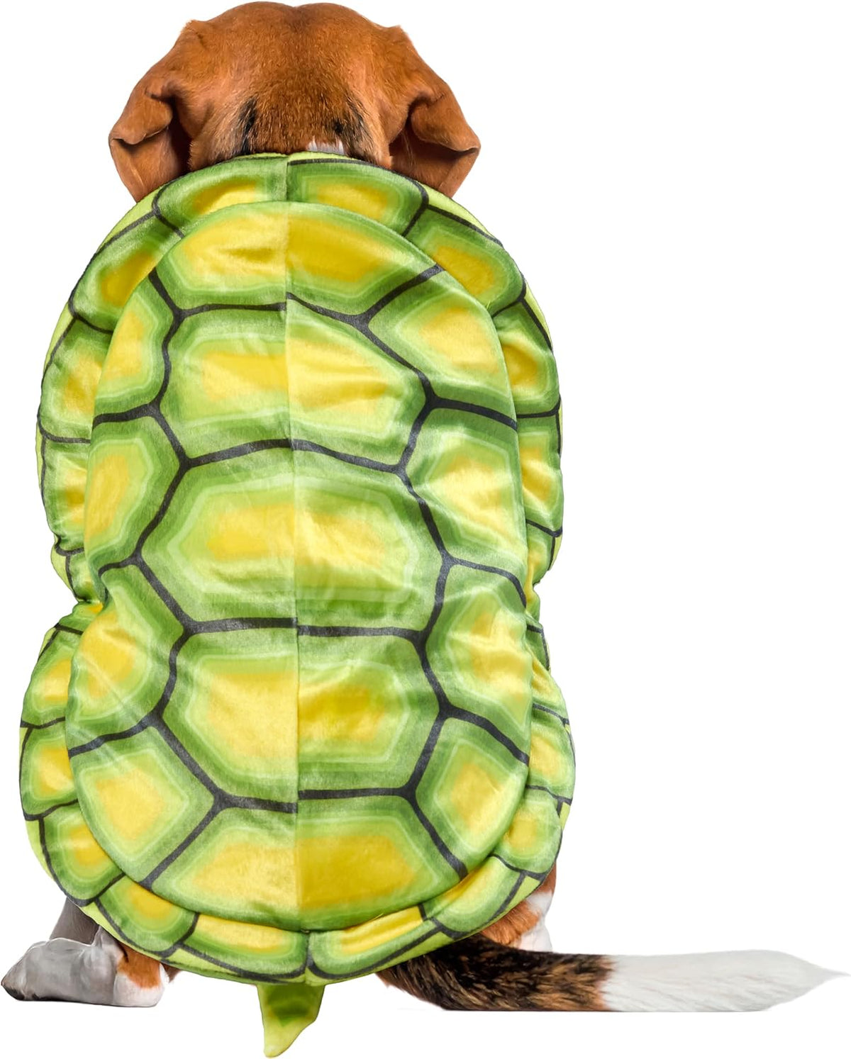 Turtle Shell Pet Costume for Dogs or Cats, L/XL