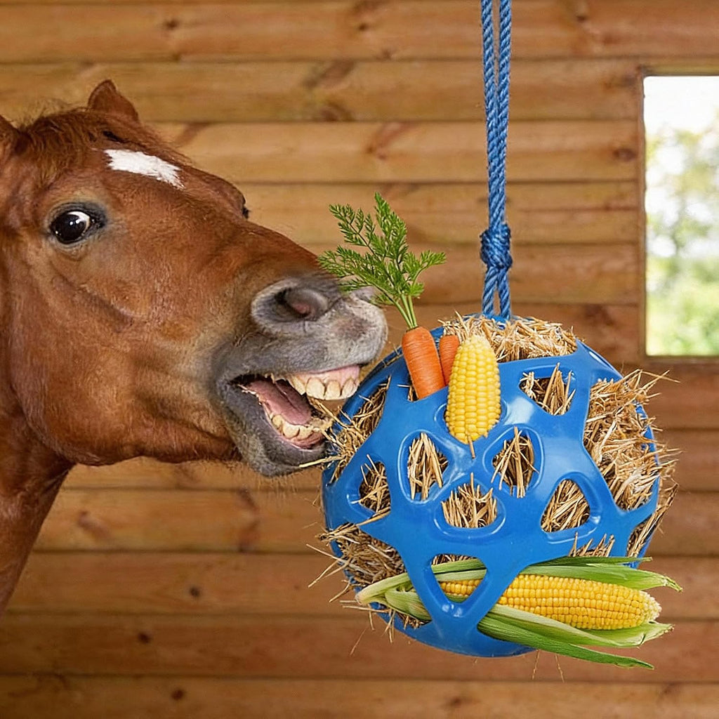 Hay Ball Stall Toy for Horses, Goats & Sheep
