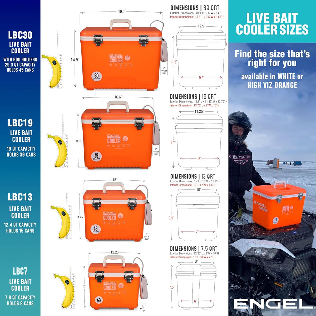 Live Bait Cooler Box with 2nd Gen 2-Speed Aerator Pump - Portable Fishing Station & Minnow Bucket for Shrimp & Other