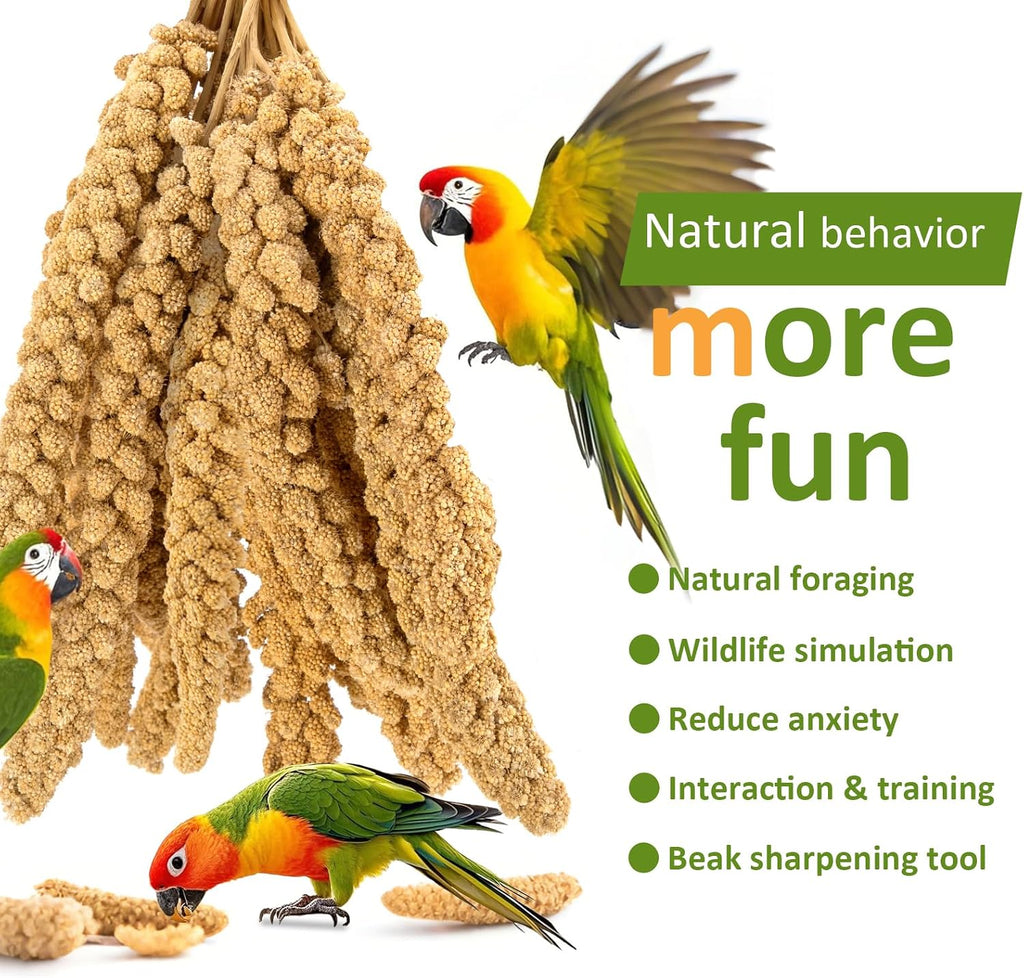 Spray Millet for Birds 5LB - All Natural Sun-Dried Healthy Treat, Millet Spray for Parakeets, Parrots, Lovebirds