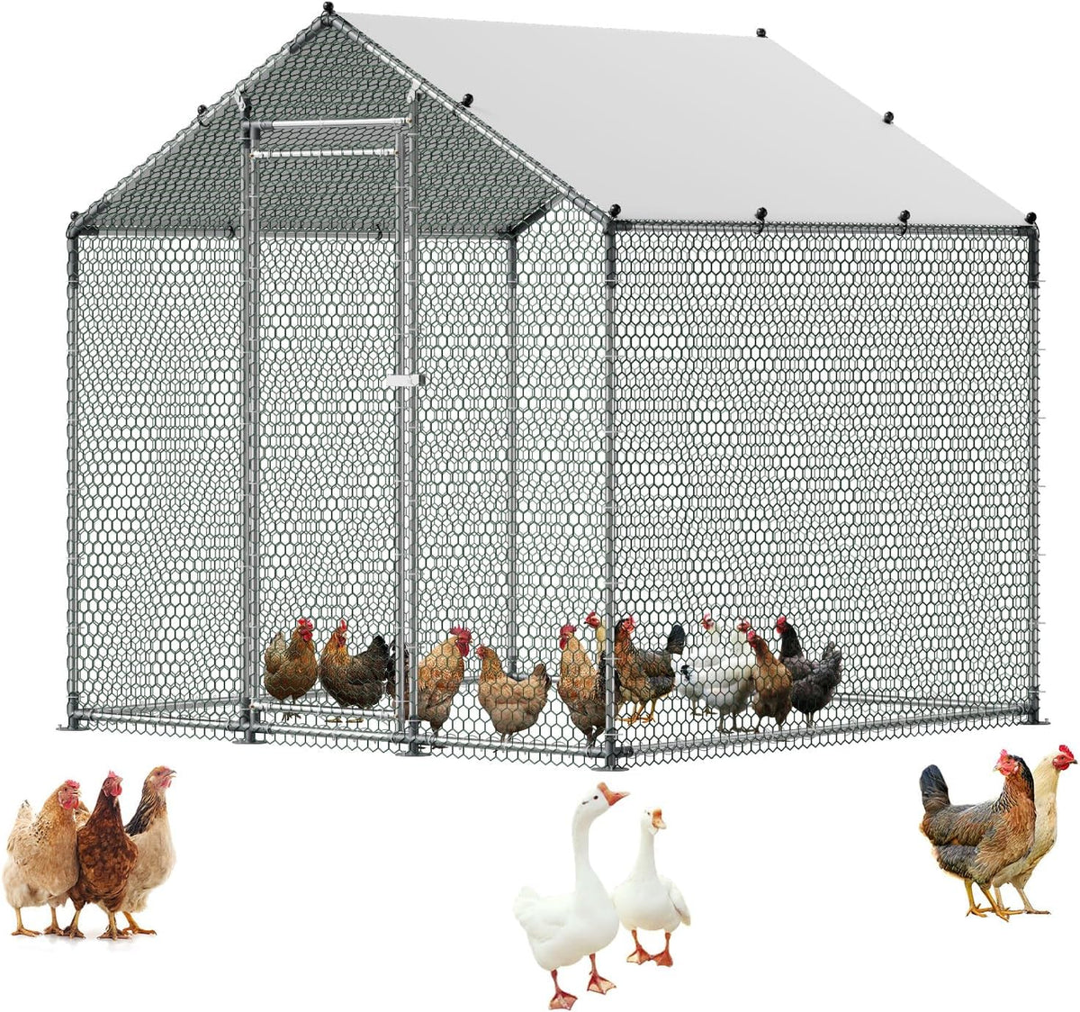 Metal Chicken Coop, 6.56x6.56x6.56ft Large Walk-in Chicken Run with Cover, Spire Roof Hen House Enclosure with