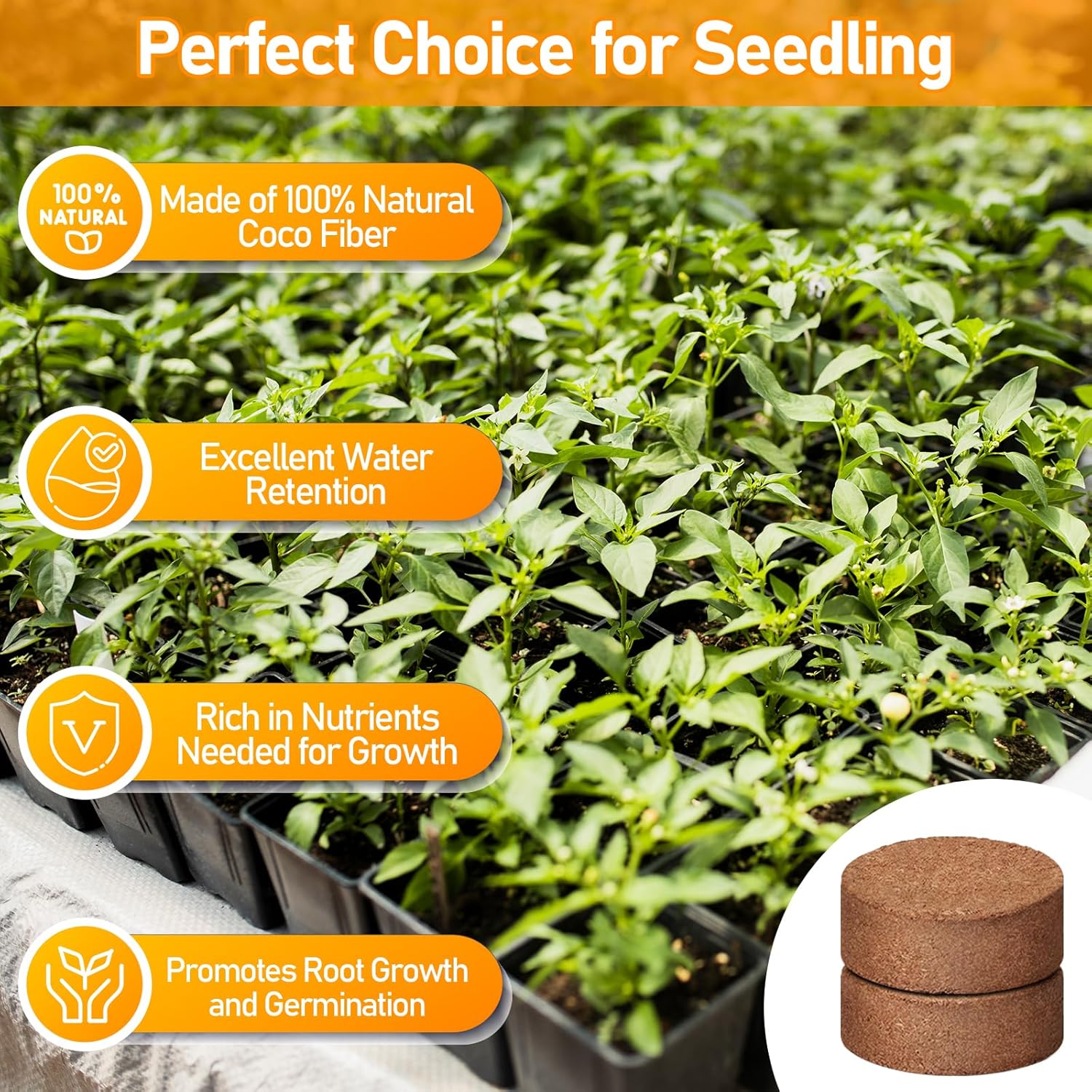 50 Pcs 30mm Coco Coir Pellets Organic Seed Starter Soil Potting Mix | Compressed & Quick Expansion Coconut Fiber