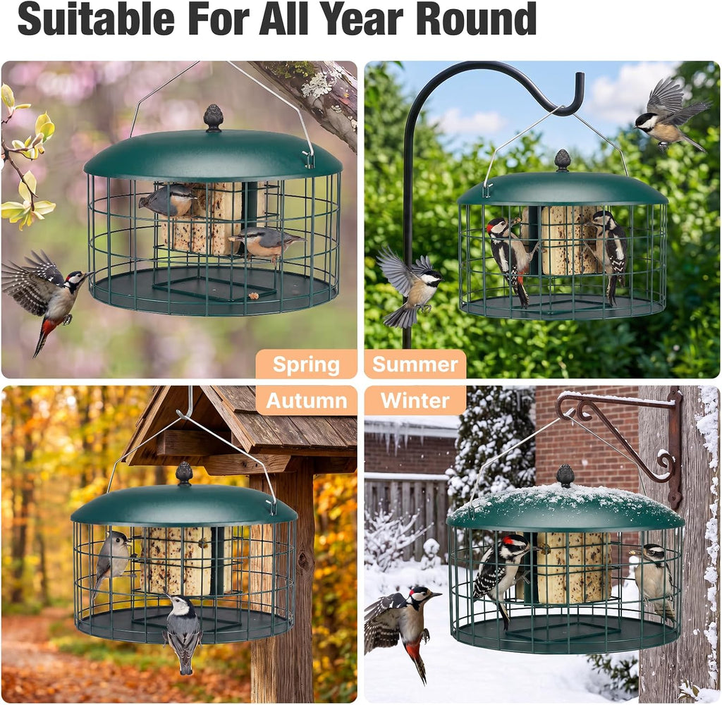 Squirrel Proof Suet Feeder for Woodpeckers, All Metal Caged Feeders