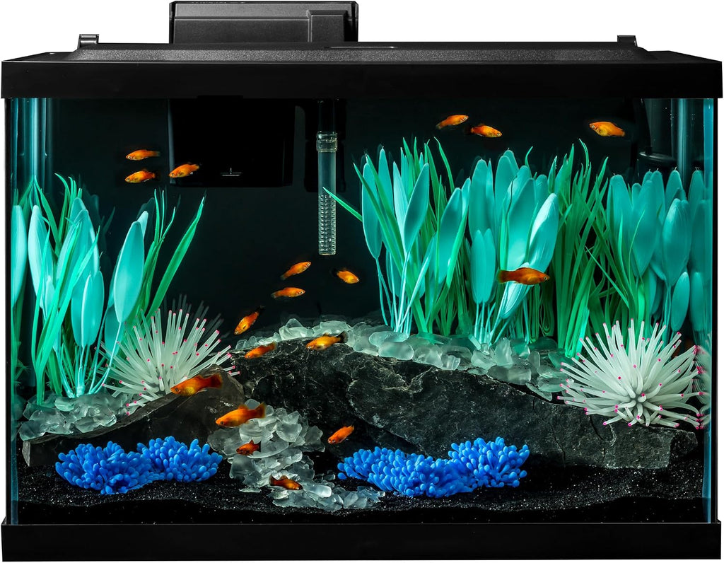 Color Complete 20 Gallon Fish Tank Kit for Freshwater, Saltwater Fish