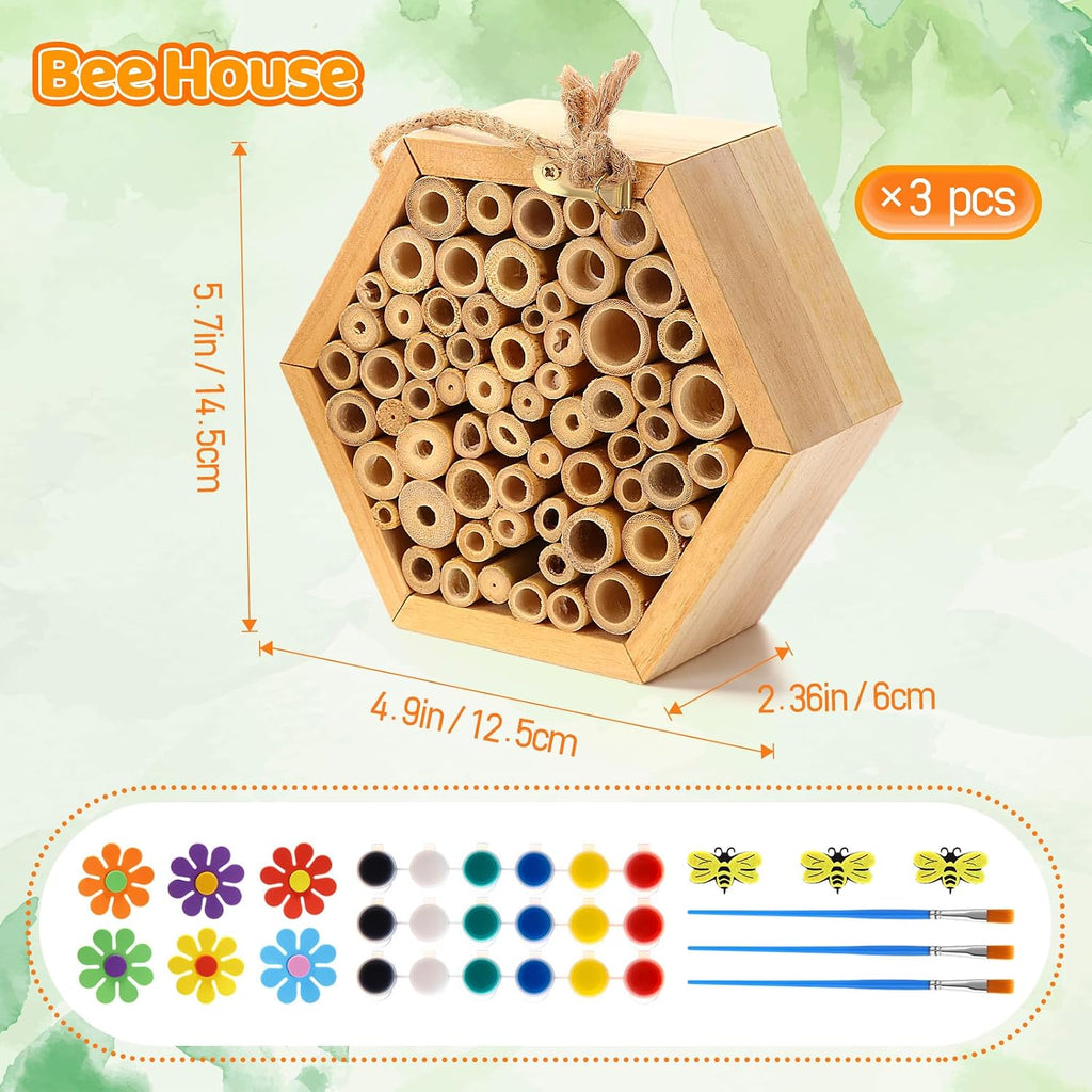 3 Pcs Mason Bee House with DIY Painting Kits, Felt Bee Flower