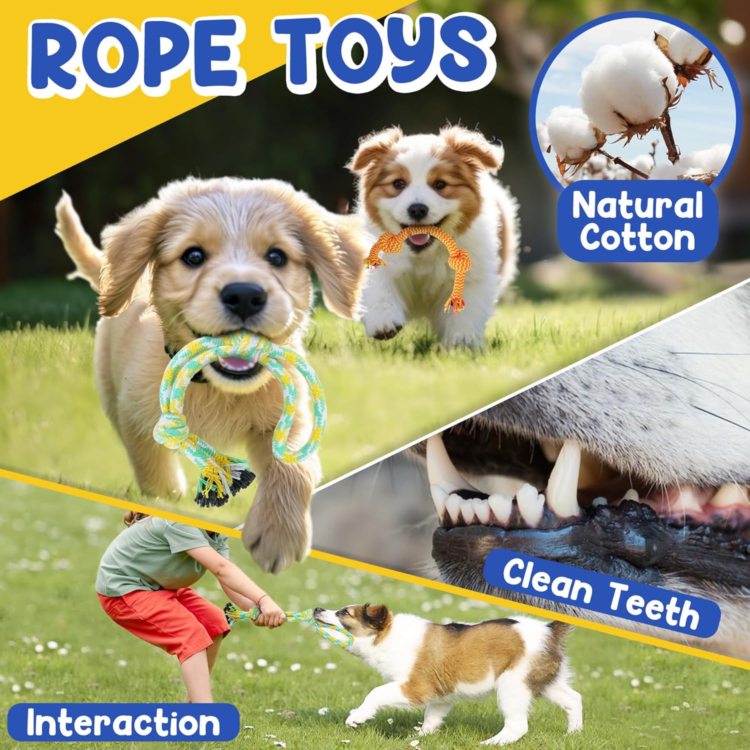 Puppy Toys for Teething, 9 Pack Interactive Dog Toys for Small Dogs, Puppy Chew Toys for Boredom with Rope Toys