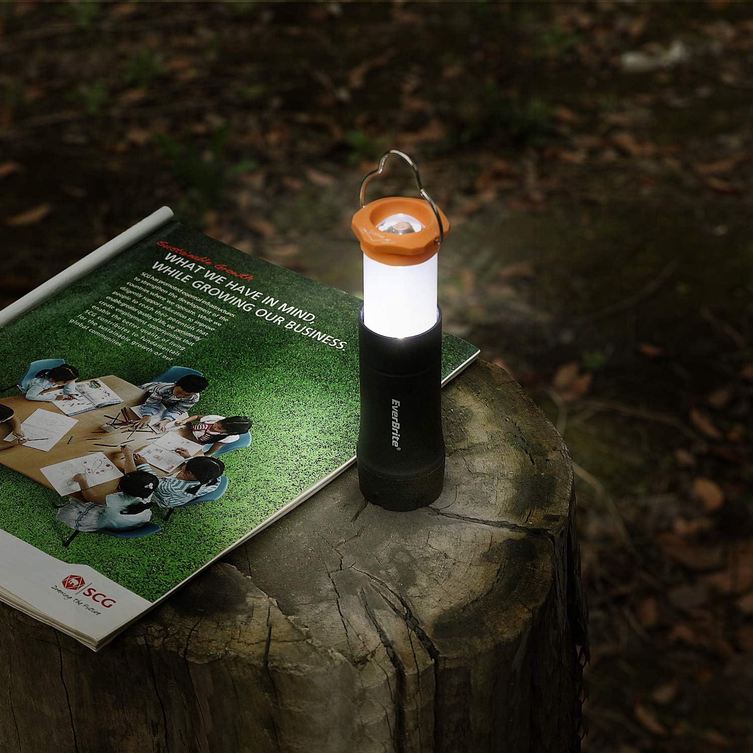 2-in-1 Mini Lanterns and Flashlights with 3 Modes, 2 Pack Portable Outdoor LED Zoomable Torches, Camping Essentials