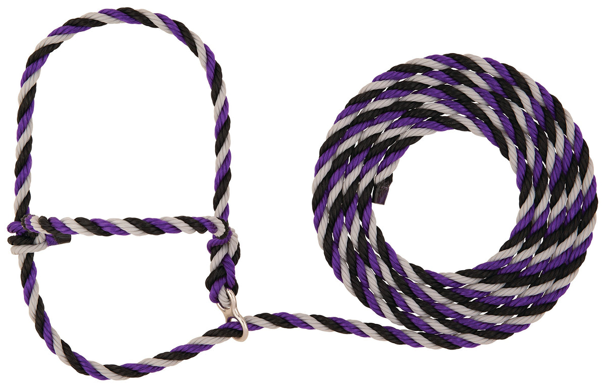 Stierwalt Breaking Halter, Purple/Black/Gray