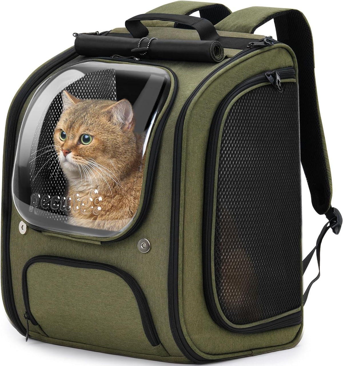 Cat Backpack Carrier,Large Space Cat Bubble Backpack,Ergonomic,Green