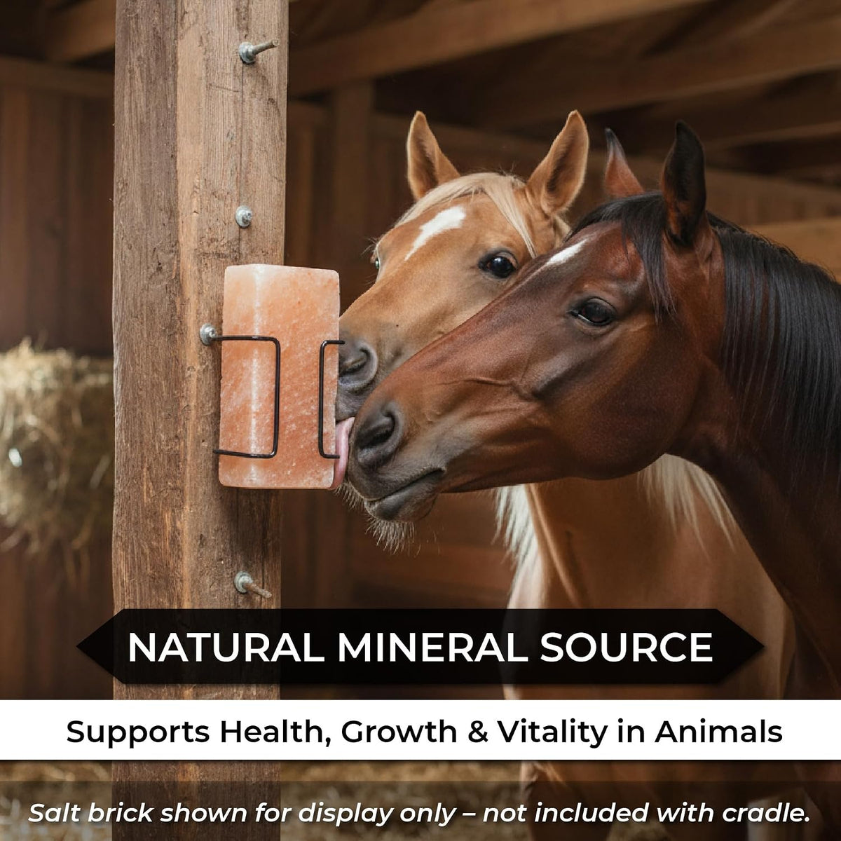 Himalayan Animal Lick Salt Brick Holder, for Deer, Horse and Livestock - Easy to Install – Ideal for Cattle, Horses