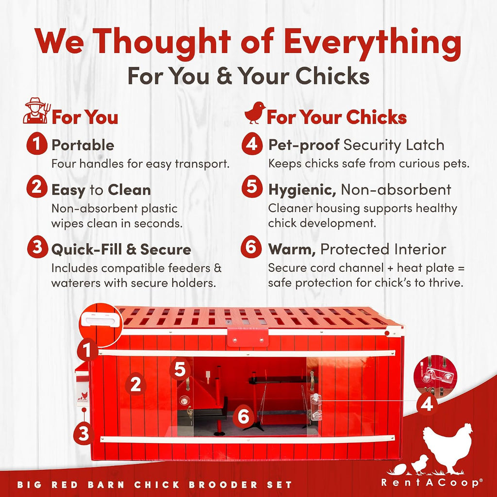 Big Red Barn Chick Brooder Set with Heating Plate