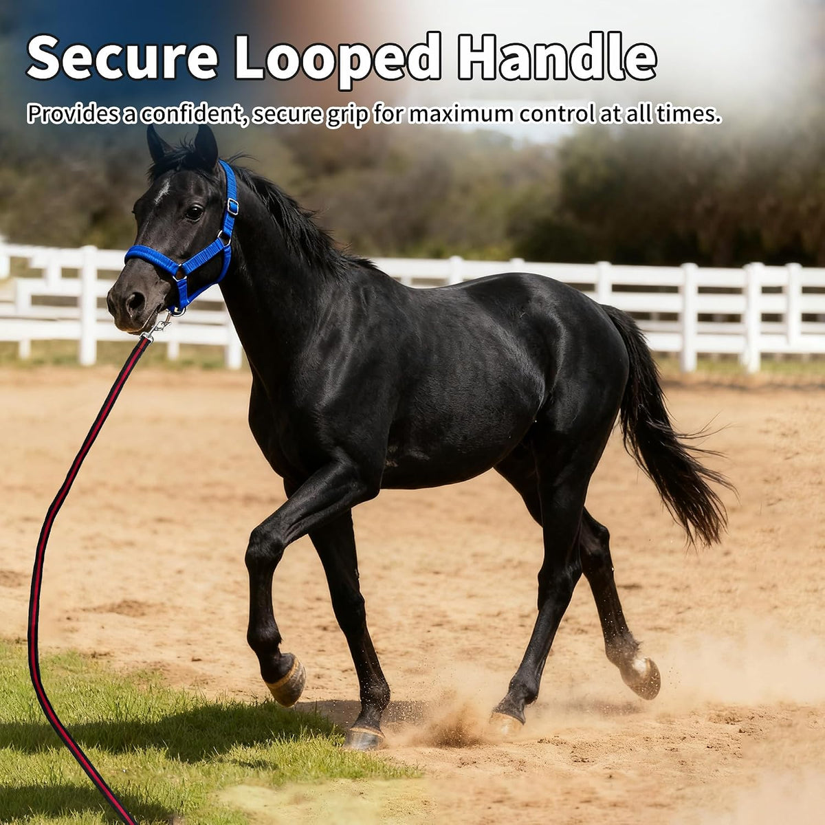 26FT Durable Horse Lunge Line with Swivel Bolt Snap - Soft Feel Equine Training Line for Lunging, Show, Competition