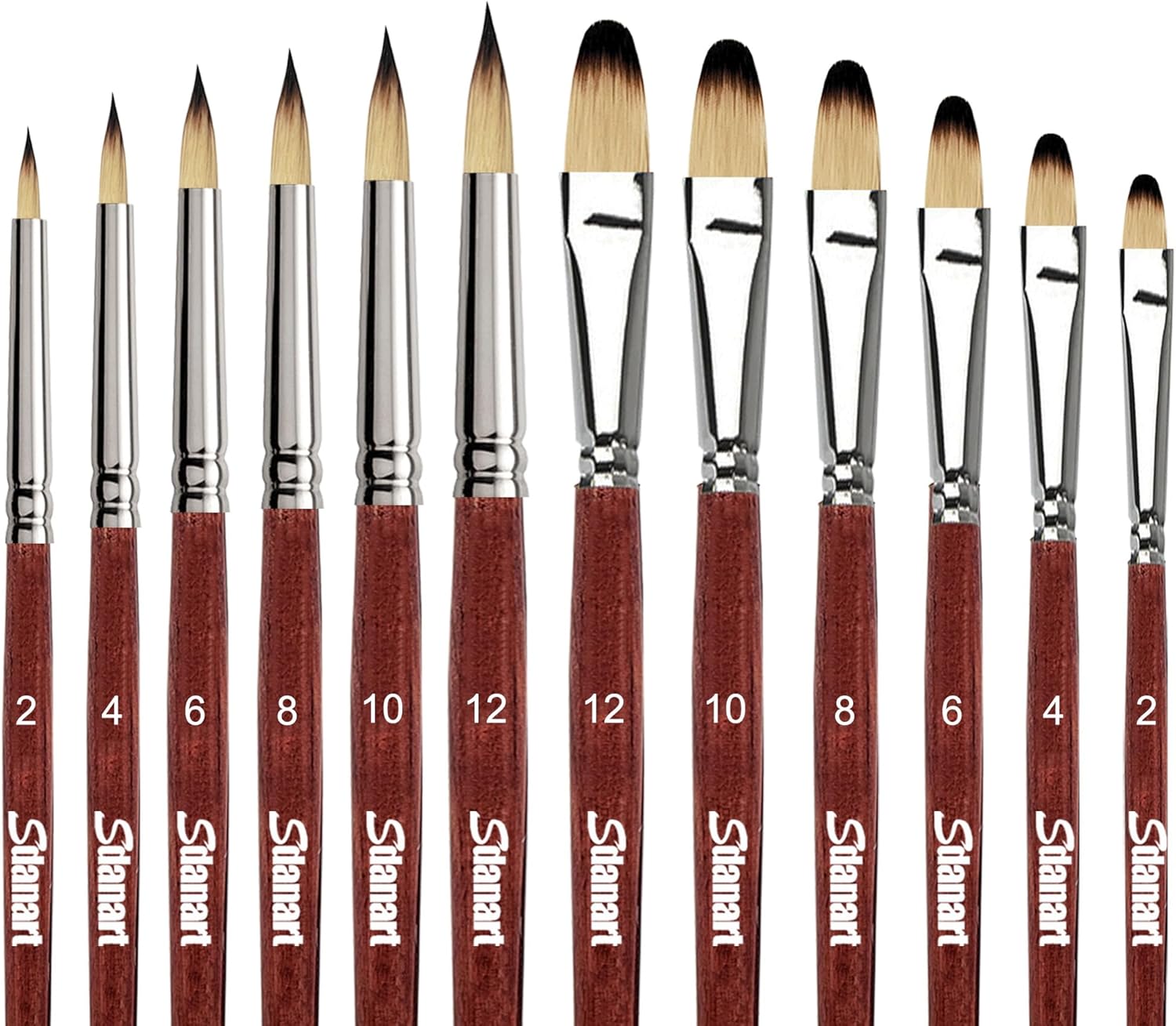 12 pcs Acrylic Paint Brushes Set,6 Professional Round Pointed Tip Paintbrushes and 6 Filbert Artist Paintbrush for