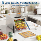 Food Dehydrator Machine Stainless Steel 6 Tray