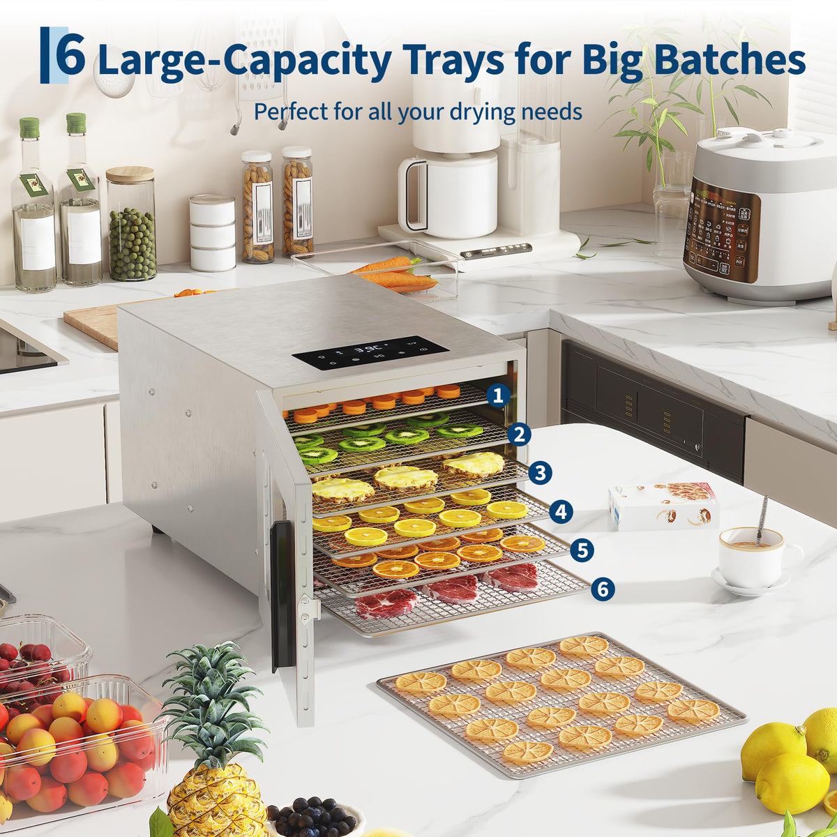 Food Dehydrator Machine Stainless Steel 6 Tray