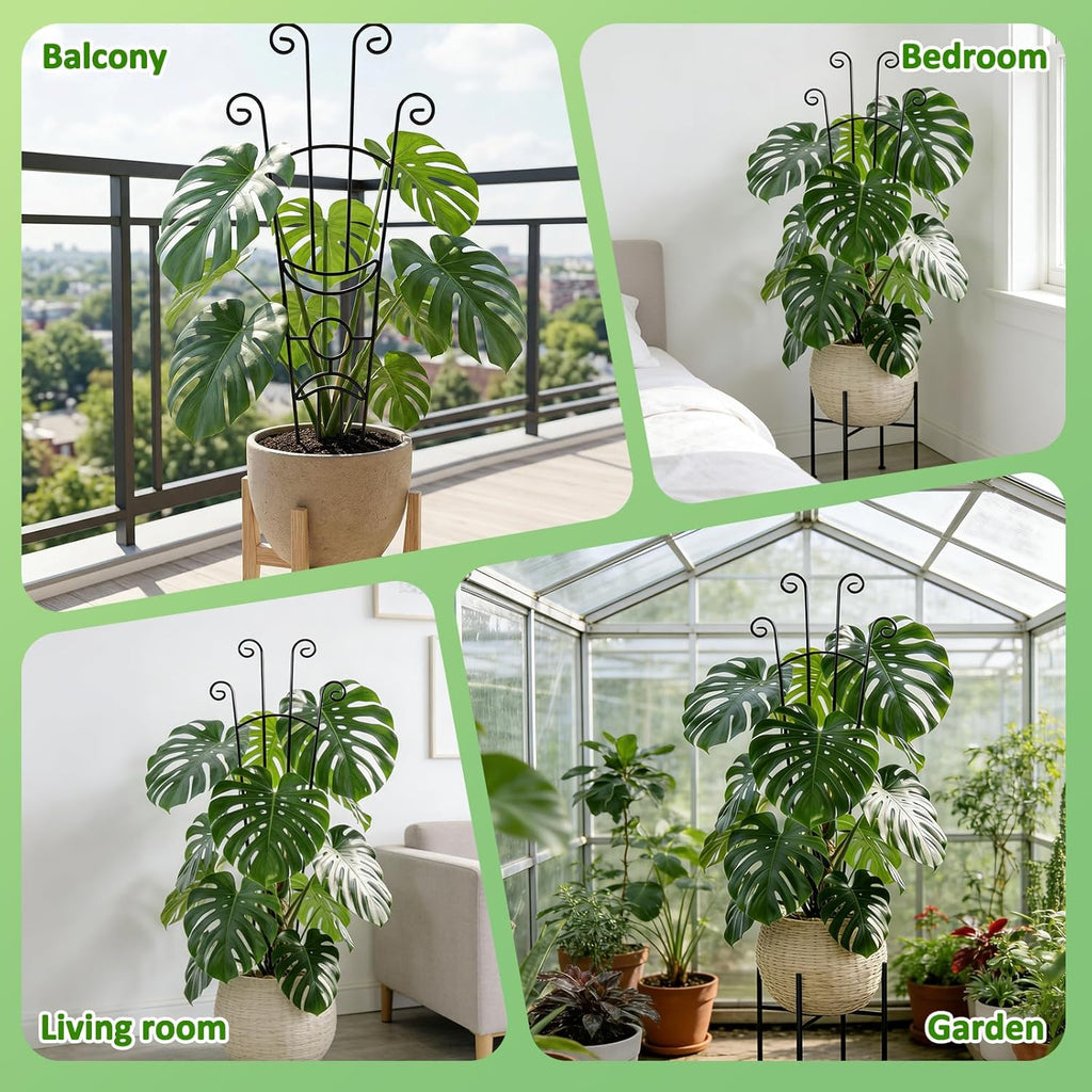 Monstera Plant Support - 32.6 Inch Tall Trellis with 2 Pack Plant Stakes for Your Large Climbing Monstera Deliciosa |